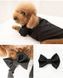 GentleDog &mdash; чорний костюм у смужку з метеликом 0007 фото 2