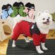 Флісовий комбінезон для собак The Dog Face із кільцем для повідця, червоний, XS 9630 фото