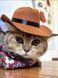 Ковбойський капелюх Wild West для собак і котів  з червоною банданою, S 7025 фото 4