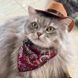 Ковбойская шляпа Wild West для собак и кошек с красной банданой, размер S 7025 фото
