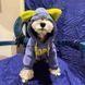 Тепле худі Teddy Pop для собак і котів із капюшоном та вушками, S 0080 фото 8