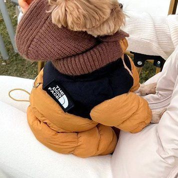 🐶 Теплая зимняя куртка для собак, XS, карамельно-коричневая 2222 фото