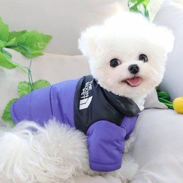 Зимний утепленный пуховик для собак "Жилетка-куртка Arctic Pup Puffer", фиолетовый, размер M 5592 фото