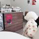 Тепла стьобана куртка для собак Teddy Bear, XS 0033 фото 4