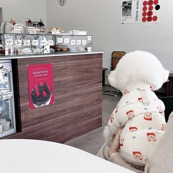 Теплая стеганная куртка для собак Teddy Bear, S 0034 фото