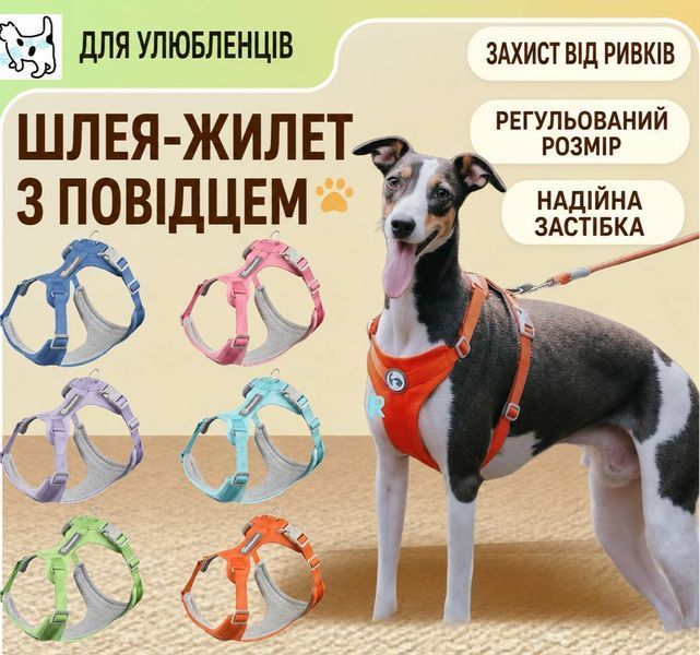Шлея анатомічна WAOPET &ldquo;AirFlex&rdquo; Matcha Green (XS) 2694 фото