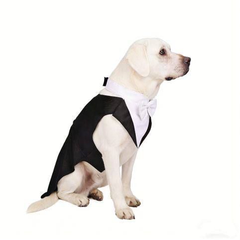Святковий костюм-смокінг для великих собак Grand Gentleman, чорний, 2XL 6804 фото