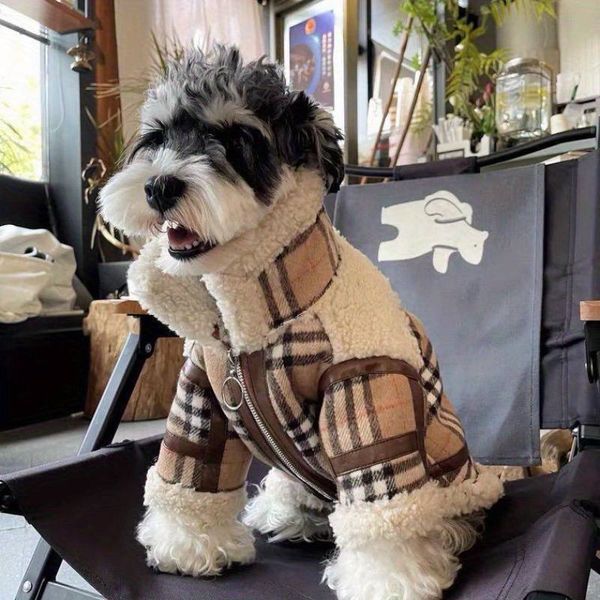 Тепла зимова куртка-дублянка Teddy Check для собак у клітинку, XS 0088 фото
