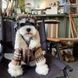 Тепла зимова куртка-дублянка Teddy Check для собак у клітинку, XS 0088 фото 1