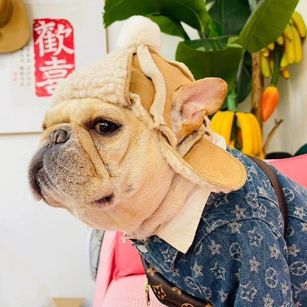 Теплая шапка-ушанка для собак Teddy Aviator с прорезями для ушей и помпоном, бежевая, M 6828 фото