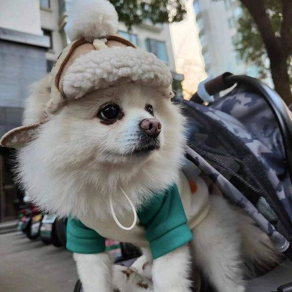 Теплая шапка-ушанка для собак Teddy Aviator с прорезями для ушей и помпоном, бежевая, M 6828 фото