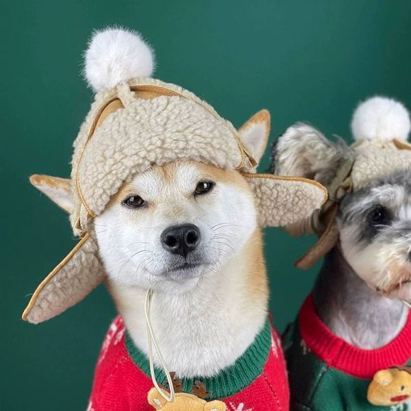 Теплая шапка-ушанка для собак Teddy Aviator с прорезями для ушей и помпоном, бежевая, M 6828 фото