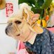 Теплая шапка-ушанка для собак Teddy Aviator с прорезями для ушей и помпоном, бежевая, M 6828 фото 5
