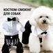 Праздничный костюм-смокинг с брюками для маленьких и средних собак Little Gentleman, черный с белым, S 6806 фото 1