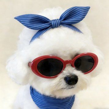 Окуляри для маленьких собак та котів &ldquo;Retro Pup&rdquo; &mdash; червоні з темними лінзами  9991 фото