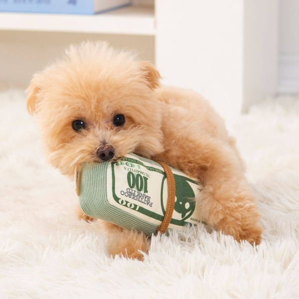 Игрушка для собак Money Roll &mdash; мягкая плюшевая купюра со звуком 9537 фото
