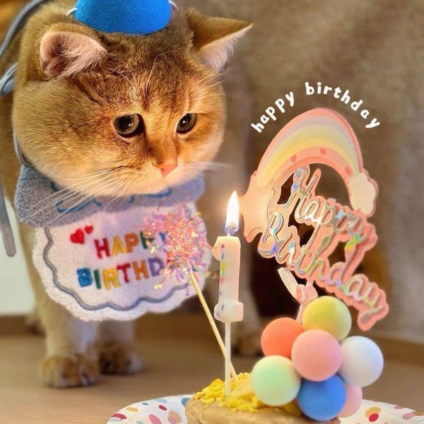 Святковий набір для дня народження собак і котів Happy Pawty &mdash; аксесуари для фотосесії, жовтий 2461 фото