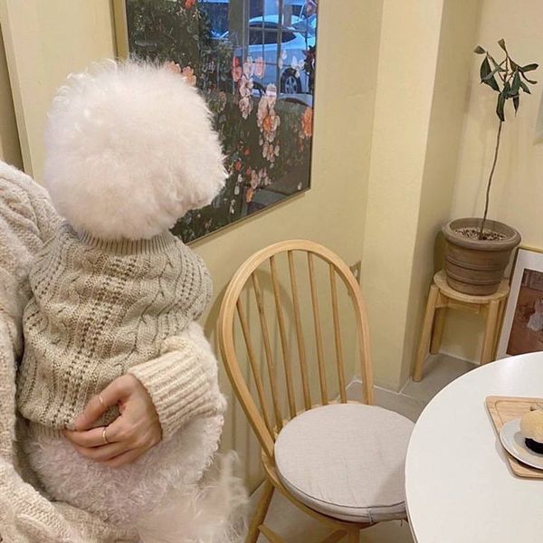 Затишний в&rsquo;язаний светр для собак дрібних та середніх порід, WarmPaws Knit Sweater, оливково-бежевий, розмір M 6652 фото