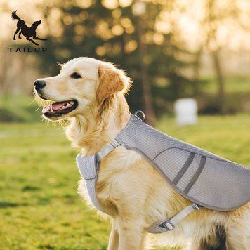 Жилет &ldquo;Cool Doggo Pro&rdquo; &mdash; охолоджуючий жилет для собак (XL) 2552 фото