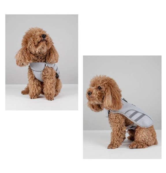 Жилет &ldquo;Cool Doggo Pro&rdquo; &mdash; охолоджуючий жилет для собак (XL) 2552 фото