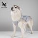 Жилет &ldquo;Cool Doggo Pro&rdquo; &mdash; охолоджуючий жилет для собак (XL) 2552 фото 2