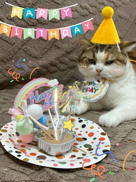 Святковий набір для дня народження собак і котів Happy Pawty &mdash; аксесуари для фотосесії, рожевий 2464 фото