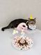 Святковий набір для дня народження собак і котів Happy Pawty &mdash; аксесуари для фотосесії, рожевий 2464 фото 5