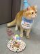 Святковий набір для дня народження собак і котів Happy Pawty &mdash; аксесуари для фотосесії, рожевий 2464 фото 3