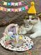 Святковий набір для дня народження собак і котів Happy Pawty &mdash; аксесуари для фотосесії, рожевий 2464 фото 2