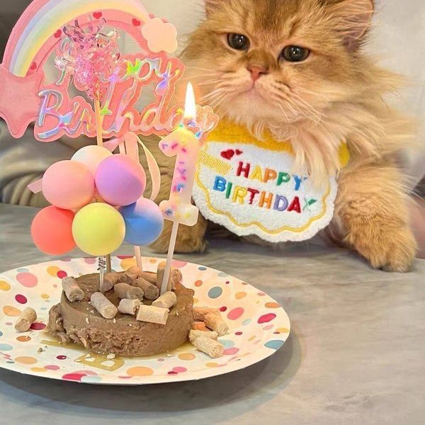 Святковий набір для дня народження собак і котів Happy Pawty &mdash; аксесуари для фотосесії, рожевий 2464 фото