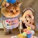 Святковий набір для дня народження собак і котів Happy Pawty &mdash; аксесуари для фотосесії, рожевий 2464 фото 8