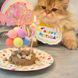 Святковий набір для дня народження собак і котів Happy Pawty &mdash; аксесуари для фотосесії, рожевий 2464 фото 7