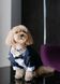 GentleDog &mdash; чорний костюм у смужку з метеликом 2324 фото 10