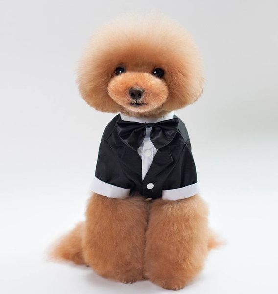 Костюм-смокінг для собак чорний Gentle Gentleman, S 9648 фото