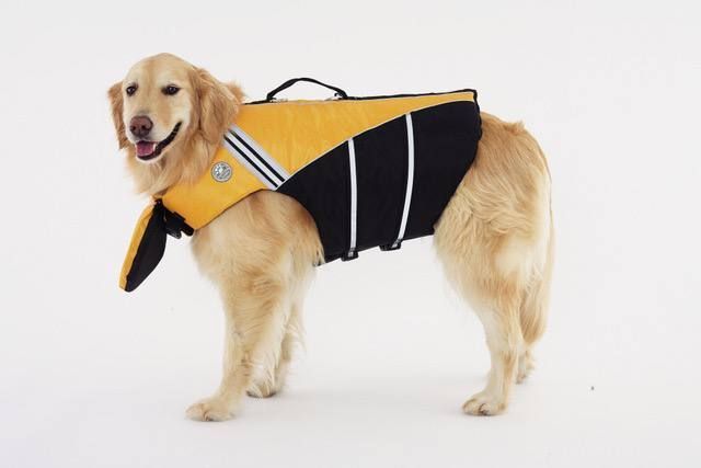 Рятувальний жилет для собак PetSafe Float Pro (жовтий), XS 9554 фото