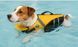 Рятувальний жилет для собак PetSafe Float Pro (жовтий), XS 9554 фото 5