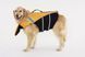 Рятувальний жилет для собак PetSafe Float Pro (жовтий), XS 9554 фото 3