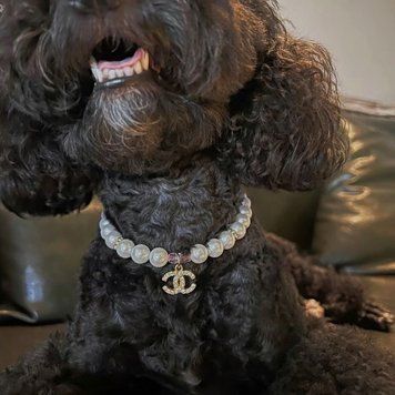 Перлова прикраса &ldquo;Luxury Pearl Pet Necklace&rdquo; для котів і собак, розмір S 0501 фото